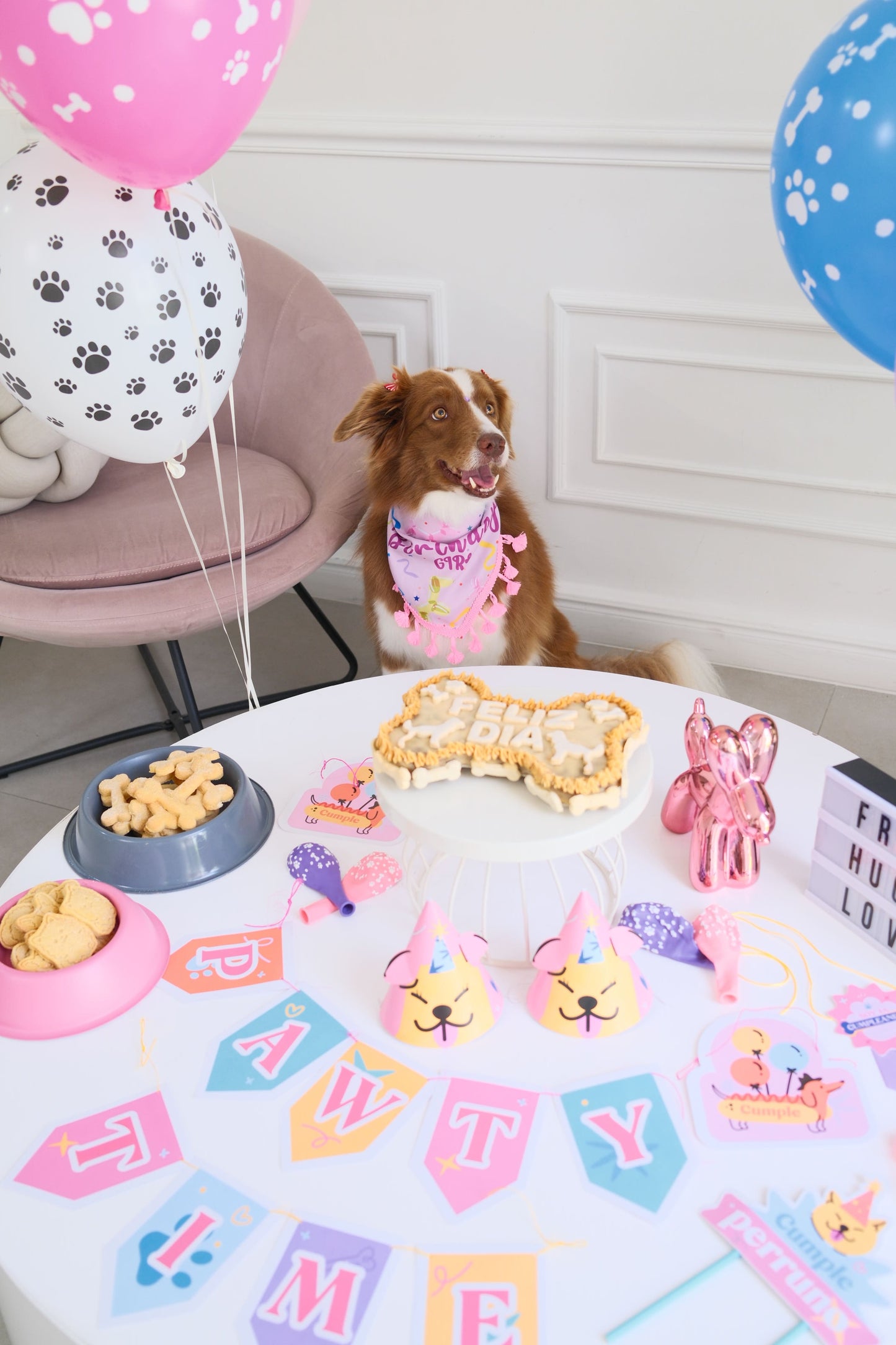 combo cumpleaños perro pastel 750 gr decoración