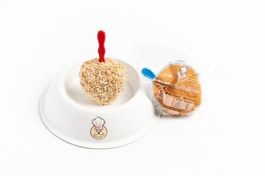 paleta de zanahoria y chips de avena
