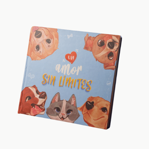 album de recuerdos un amor sin limites