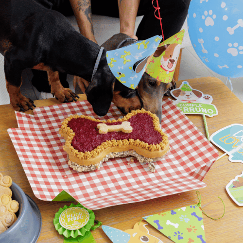combo cumpleaños perro pastel 750 gr decoración