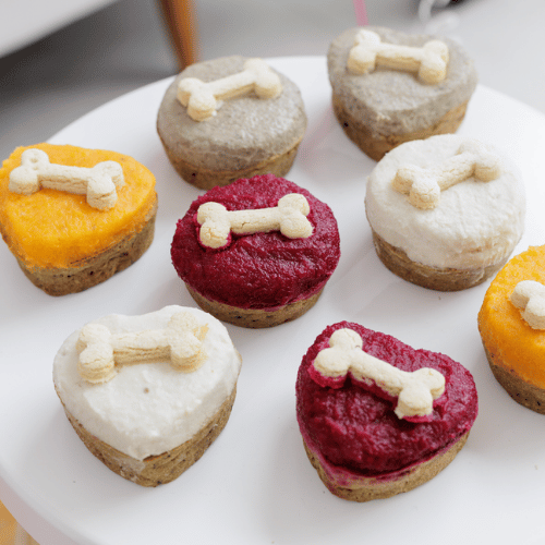 Cupcakes para perros y gatos