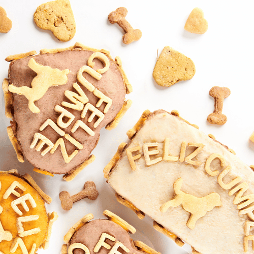 Pastel de cumpleaños para perros 500gr