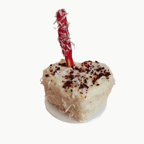 Pastel de cumpleaños para perros y gatos receta premium a base de pavo, coco y chips deshidratados