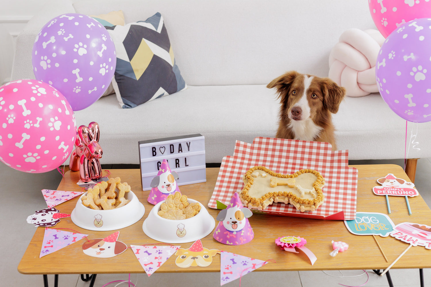 Alimento para mascotas