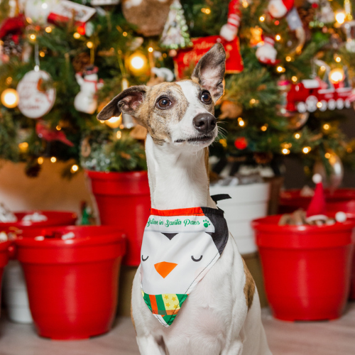 Pañoleta navidad tradicional