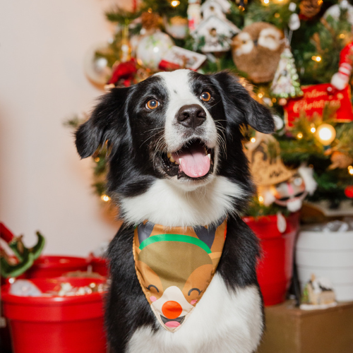 Pañoleta navidad tradicional