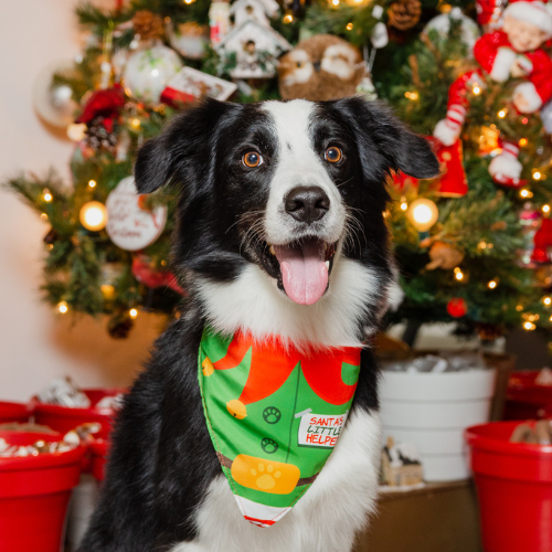 Pañoleta navidad tradicional
