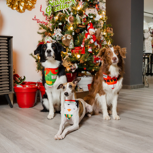 Pañoleta navidad tradicional