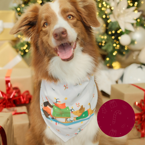 pañoleta navidad doble faz