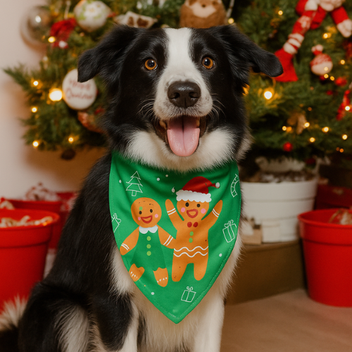 pañoleta navidad doble faz