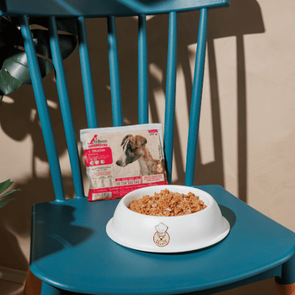 Alimento completo Pasteurizado Pet Brunch trucha zanahoria